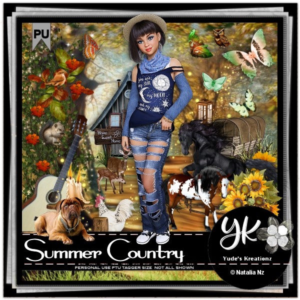 (image for) Summer Country